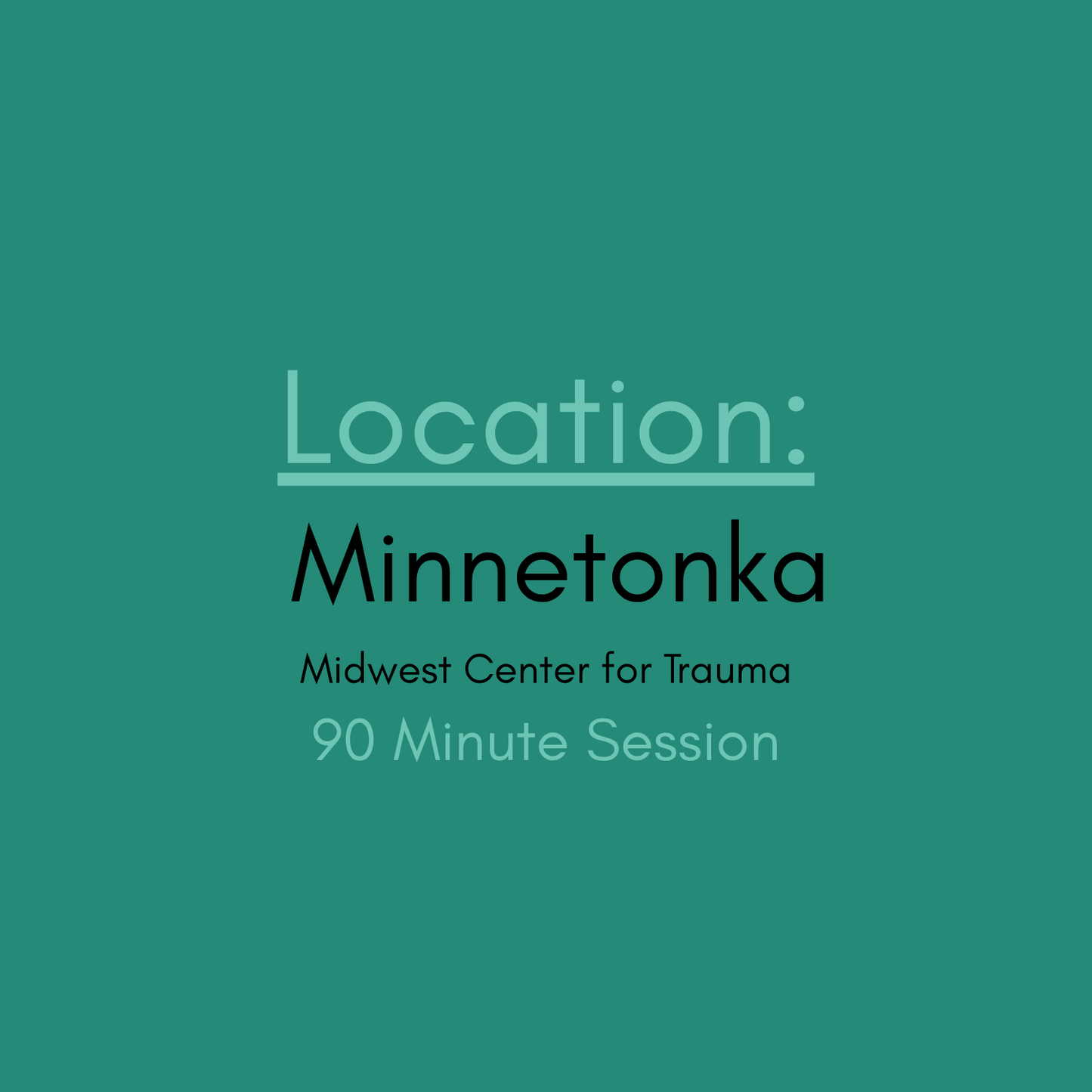 90 minute In Person Reiki Session Minnetonka