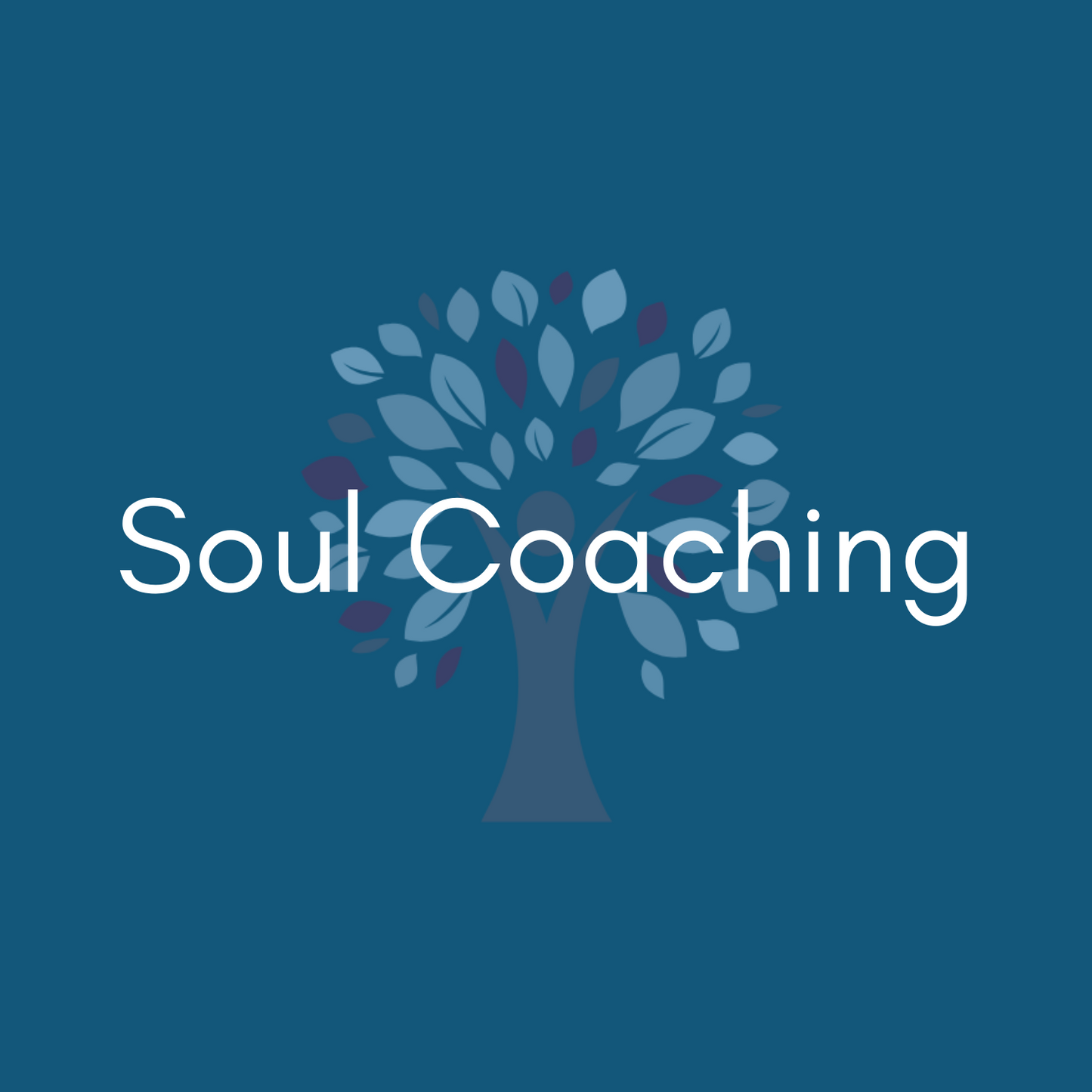 Soul Coaching Individual Session
